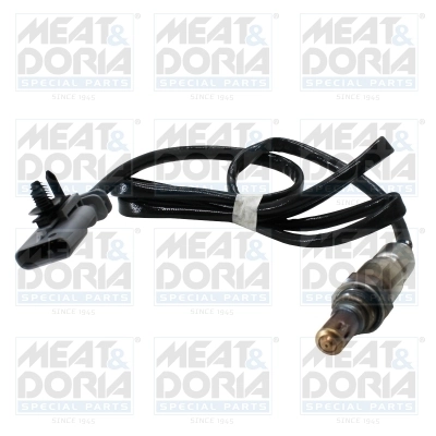 Oxygen Sensor